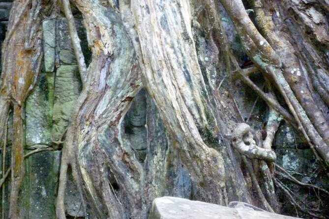 Private Angkor Wat Day Tour - Best of Angkor - Second Stop at Angkor Wat: See More, Not Just Repeat