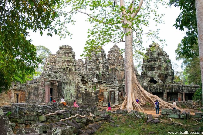 Private sunrise 'small tour' of Angkor Wat with car or van & Guide - Ta Prohm: The Jungle-Grabbed Ruin People Actually Remember