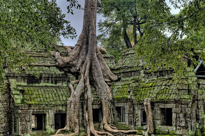 Private sunrise tour to Angkor Wat & other highlights with Professional Guide. - Price and What You Need to Budget for Temple Passes
