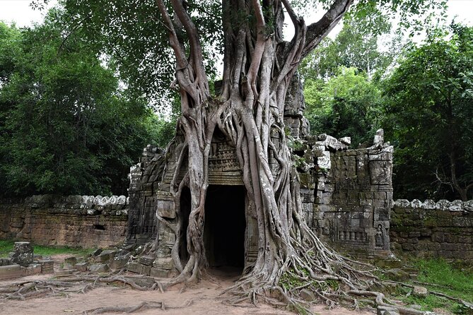 Private Taxi Siem Reap to Phnom Penh, Reliable Driver, Transfer - Pickup, timing, and what your day actually looks like