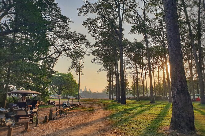 Private Temples Guided Tour (Angkor Wat, Ta Prom & Angkor Thom) - How a private Angkor Wat sunrise sets the day’s rhythm