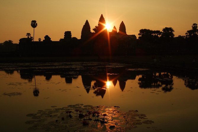 Private Temples Guided Tour (Angkor Wat, Ta Prom & Angkor Thom) - What to expect physically (and how to pace yourself)