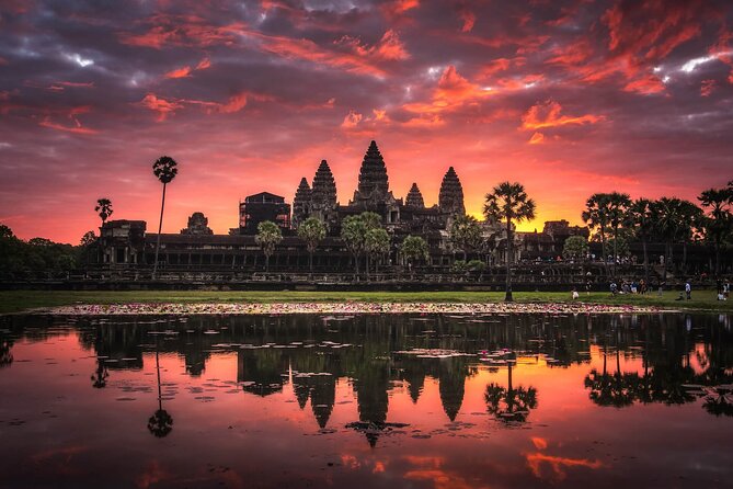 Private Temples Guided Tour (Angkor Wat, Ta Prom & Angkor Thom) - Ta Prohm: the tree-root maze and what restoration really looks like