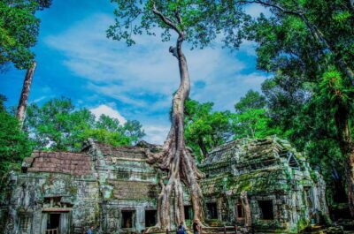 Seat-In-Coach: Small Circuit tour with Sunrise at Angkor Wat - Temple Pass and Dress Code: The Details That Can Trip You Up