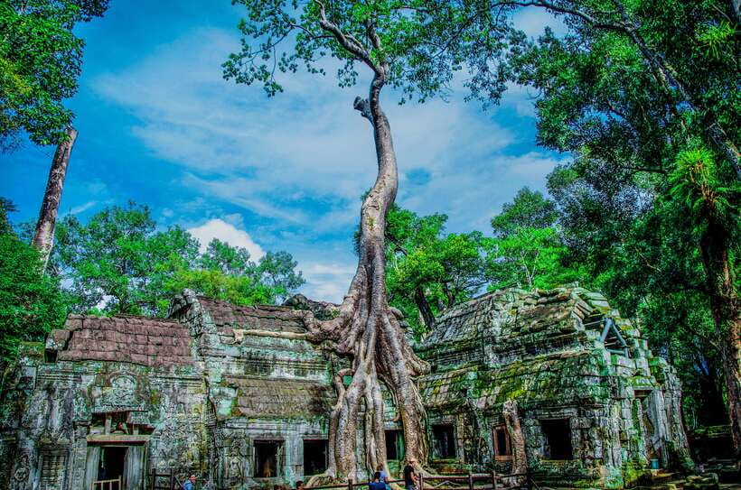 Seat-In-Coach: Small Circuit tour with Sunrise at Angkor Wat - Temple Pass and Dress Code: The Details That Can Trip You Up
