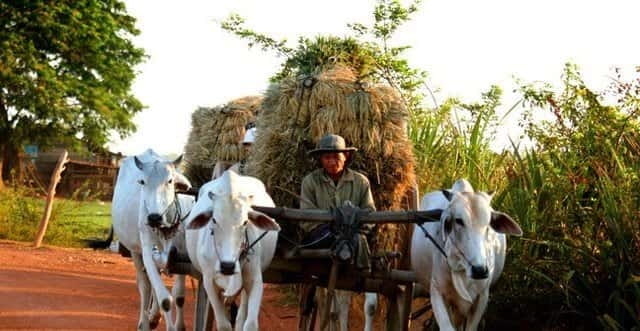 Siem Reap: 3-Hour Ancient Trails Motorbike Tour - Why this Siem Reap moto tour feels different from the temple circuit