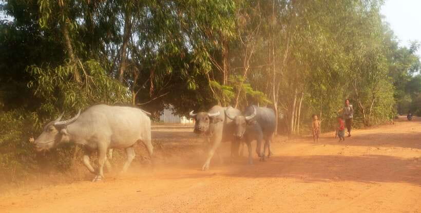 Siem Reap: 3-Hour Ancient Trails Motorbike Tour - Stop-by-stop: the route moments you’ll remember
