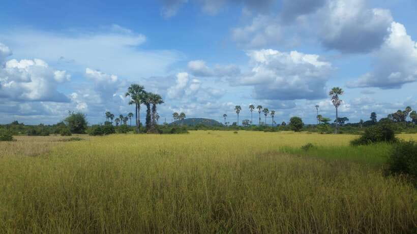 Siem Reap: 3-Hour Ancient Trails Motorbike Tour - How good guides shape the whole experience (Chiwa, Scott, and more)
