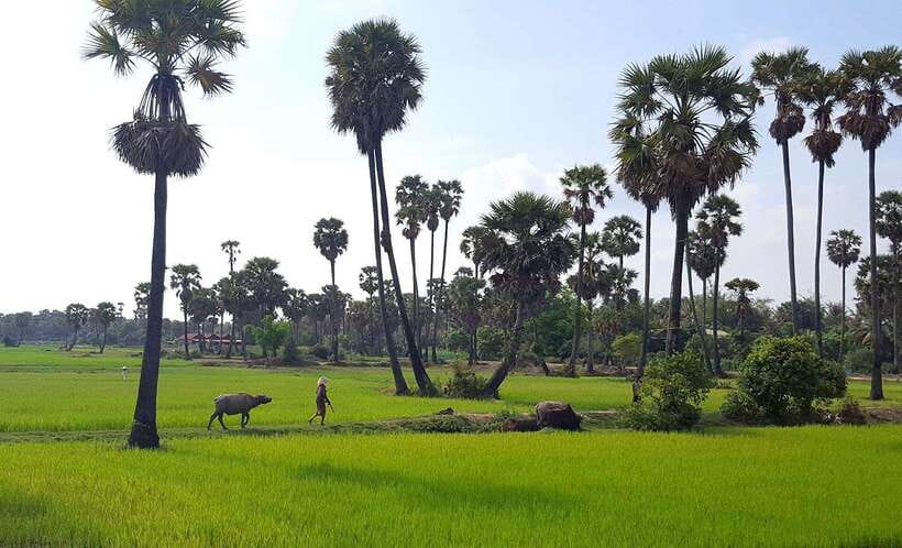 Siem Reap: 3-Hour Ancient Trails Motorbike Tour - Who should book this, and who should skip it