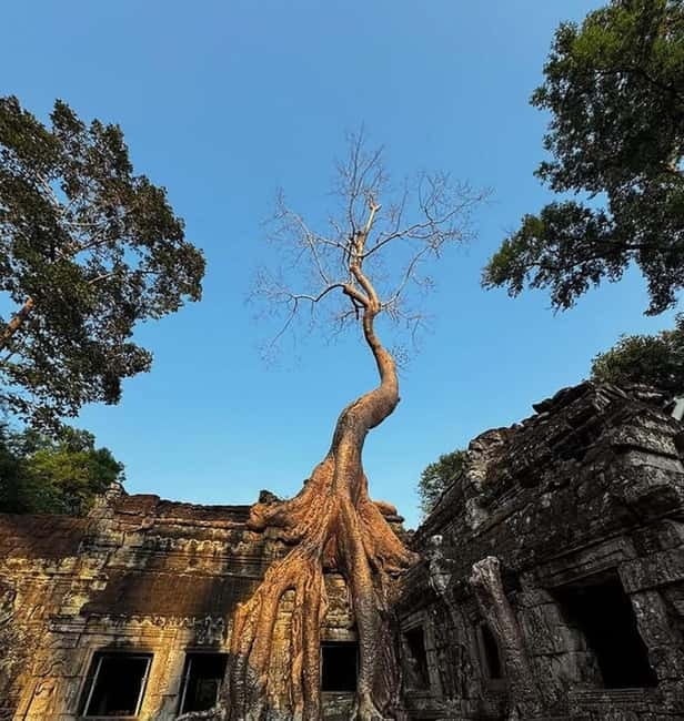 Siem Reap: Angkor 1-Day Private Tour with Sunset or Sunrise - What you actually get with a private tour (and why it’s worth it)