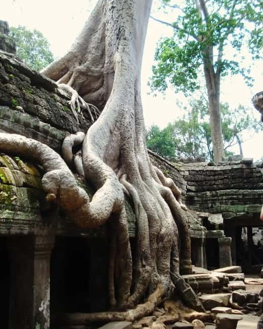 Siem Reap: Angkor 1-Day Private Tour with Sunset or Sunrise - Transport details that affect comfort: tuk-tuk vs A/C car