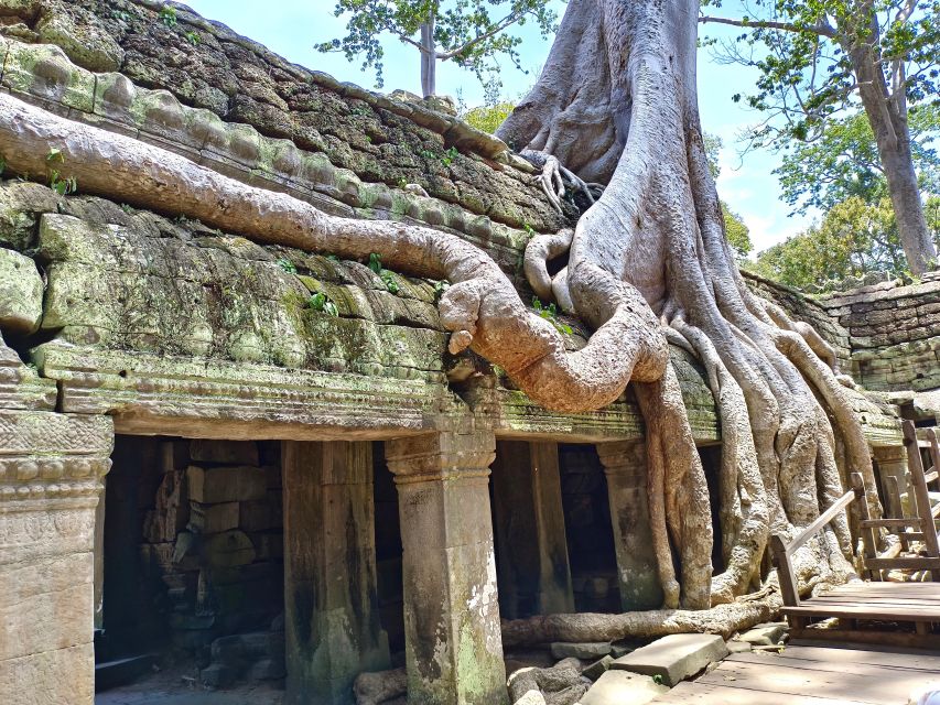 Siem Reap: Angkor Sunrise 1- or 2-Day Guided Temples Tour - Should You Book This Angkor Sunrise Tour?