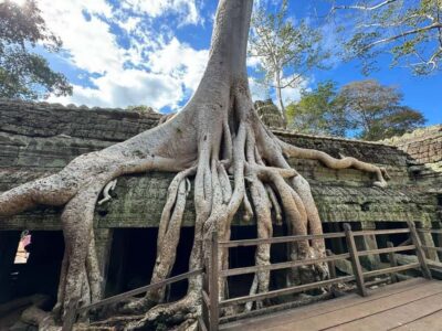 Siem Reap: Angkor Wat Small Group Tour with Spanish Guide - Meeting point, timing, and the sunrise choice