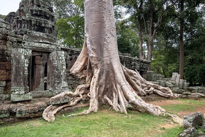 Siem Reap: Angkor Wat Sunrise Bike Tour & Jungle Breakfast - Terrace of the Elephants: a strong stop between the big two