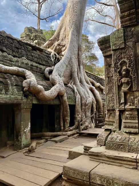 Siem Reap: Angkor Wat Tour with French-Speaking Guide - Should you book this Angkor Wat tour with French guide?