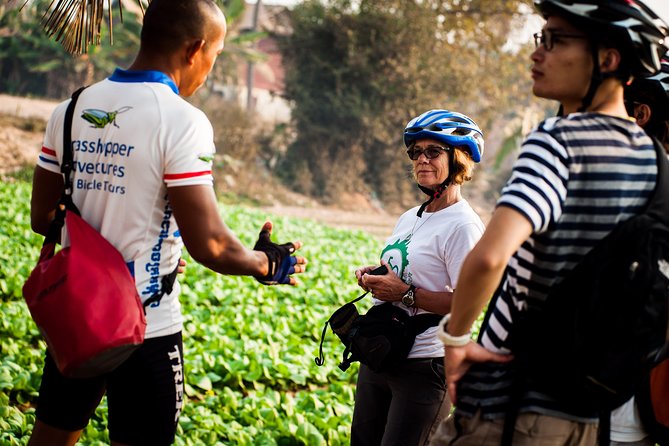 Siem Reap Countryside Guided Tour by Bike and E-Bike Private Tour - The ride itself: a 30 km circuit with bumpy-country reality