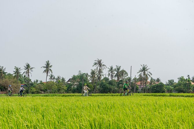 Siem Reap Countryside Sunset Bike Tour / E-Bike or Tuk Tuk - Why this Siem Reap countryside sunset bike tour feels special