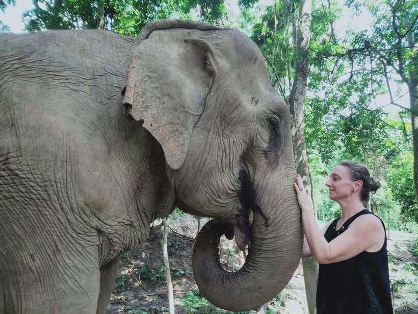 Siem Reap: Elephants & Apopo Rat Demining Private Trip - Key things I’d plan around