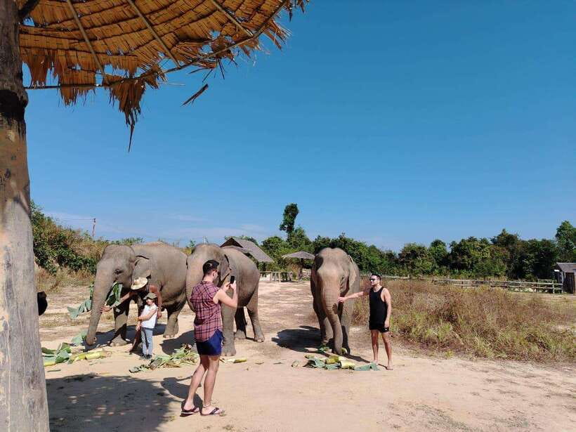 Siem Reap: Elephants & Apopo Rat Demining Private Trip - Getting Out of Siem Reap: Transport and Small-Group Comfort