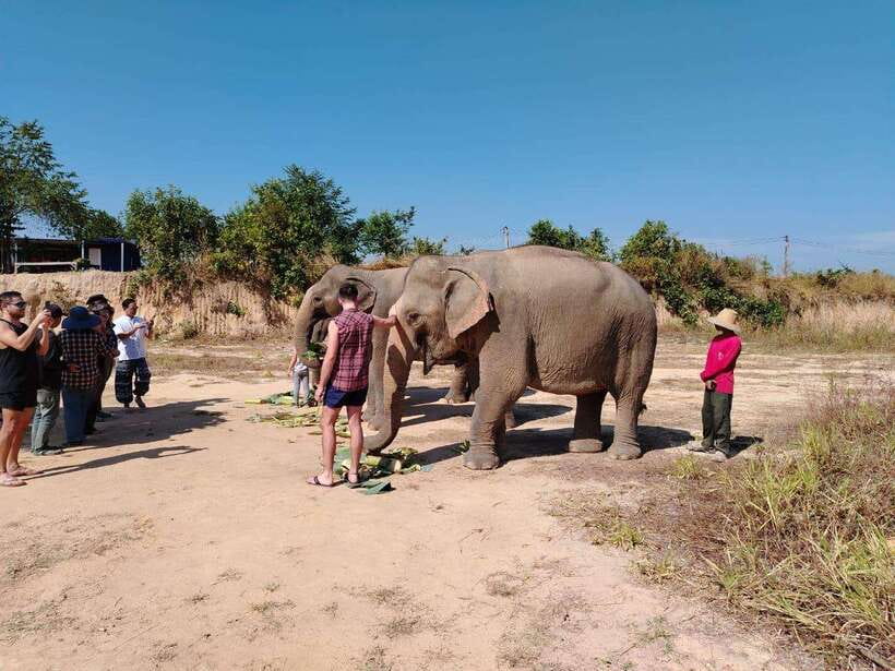 Siem Reap: Elephants & Apopo Rat Demining Private Trip - Who This Trip Fits Best (and Who Might Rethink It)