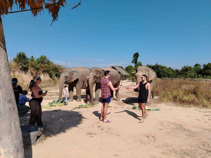 Siem Reap: Elephants & Apopo Rat Demining Private Trip - Should You Book This Siem Reap Elephants and Apopo Private Trip?