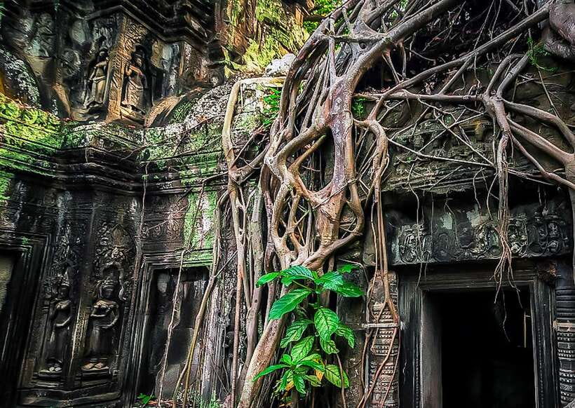 Siem Reap: Full-Day Angkor Wat Guided Tour with Sunset - Who This Small-Group Tour Fits Best