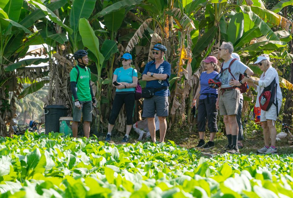 Siem Reap: Guided Countryside Bike Tour - What to bring so the morning feels easy