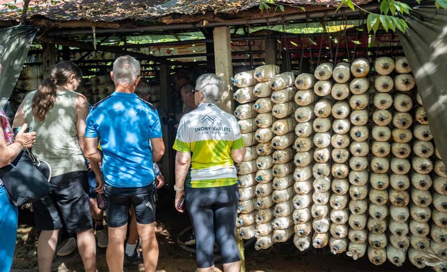 Siem Reap: Guided Countryside Bike Tour - Mushroom farms and rice wine: the most memorable smell-and-story stops