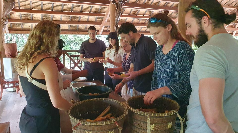 Siem Reap: Kulen Elephant Forest Guided Tour - Who should book this Kulen Elephant Forest tour