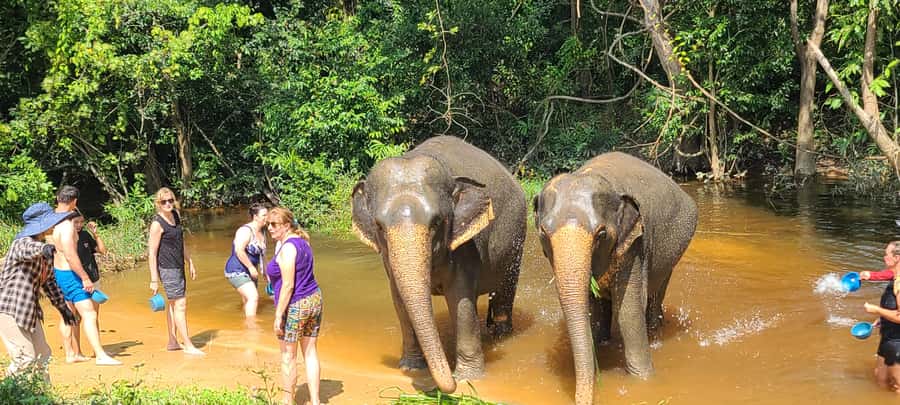 Siem Reap: Kulen Elephant Forest Guided Tour - Feeding handmade snacks: up-close time done right