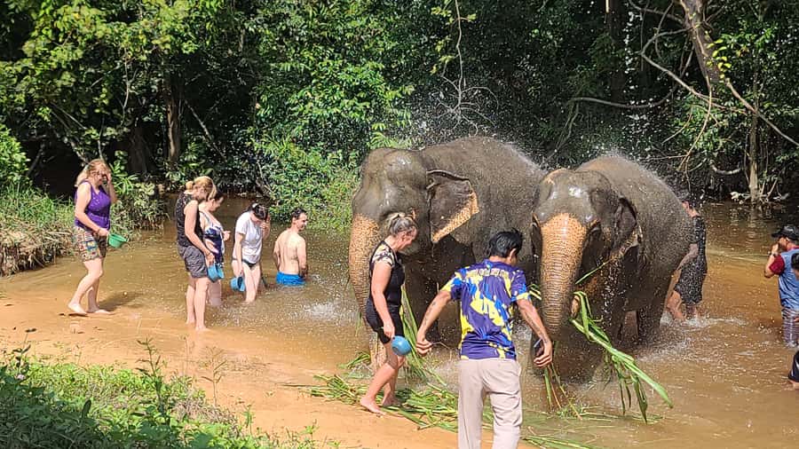 Siem Reap: Kulen Elephant Forest Guided Tour - Lunch at base camp: what you get and how to plan for it