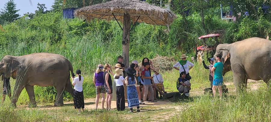 Siem Reap: Kulen Elephant Forest Guided Tour - Getting there from Siem Reap: meeting point and timing