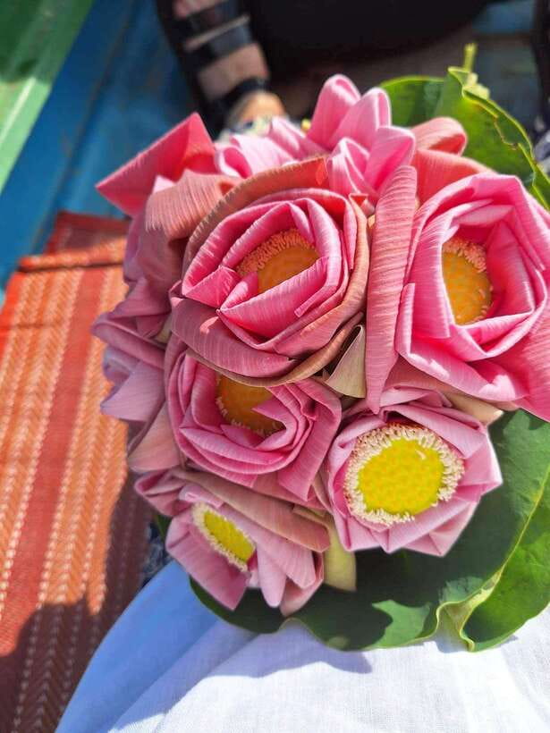 Siem Reap Lotus Silk Farm Discovery tour & Lake experience - Who should book this and who should skip it