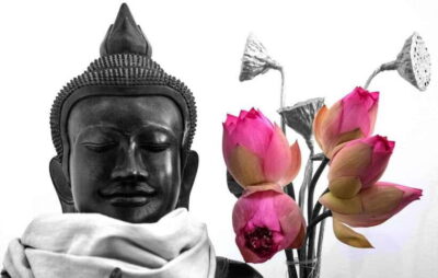 Siem Reap Lotus Silk Farm Discovery tour & Lake experience - Getting there from Biolab Café: easy start, fixed schedule