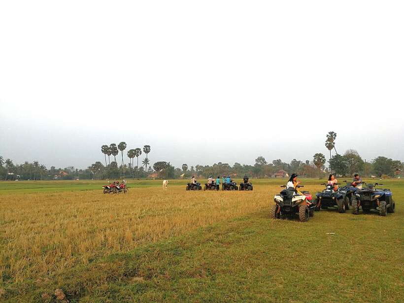 Siem Reap Quad Bike Countryside Tour - Sunset over paddy fields: the payoff for your timing