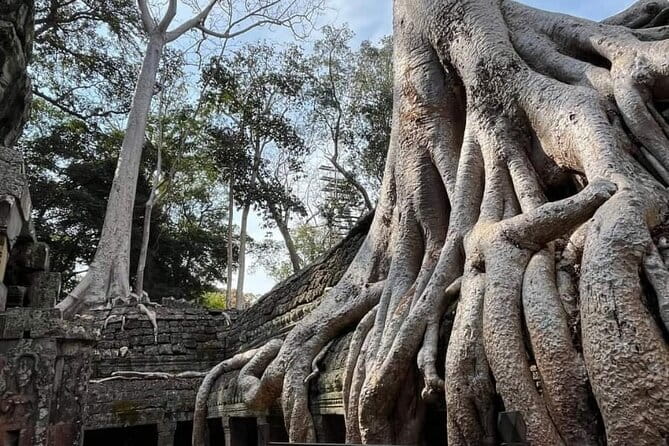 Siem Reap Temple Tuktuk Tour: Explore Angkor Wat and beyond. - Pickup, timing, and the pace of a 5 to 7 hour day