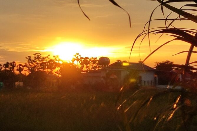 Small Group Countryside Bike Tours, Sunset & Picnic - Who this tour suits best (and who should rethink it)