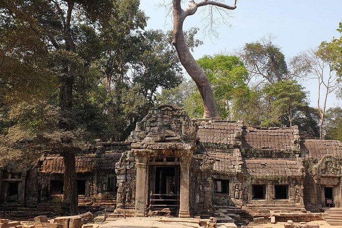 Sunrise Tour of Angkor Temples from Siem Reap - Your guide and driver: why this tour tends to score high