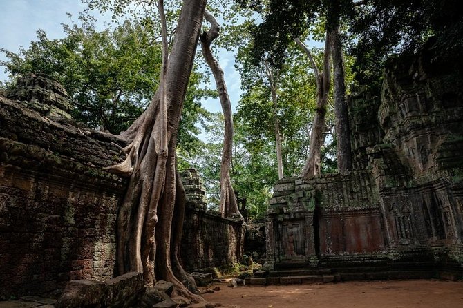 The Ultimate Angkor Wat Temple Private Day Trip - What the small-group approach changes (besides comfort)