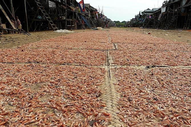 Tonle Sap Lake & Kampong Phluk Village Half-Day Tour - Who this tour fits best (and who might prefer something else)